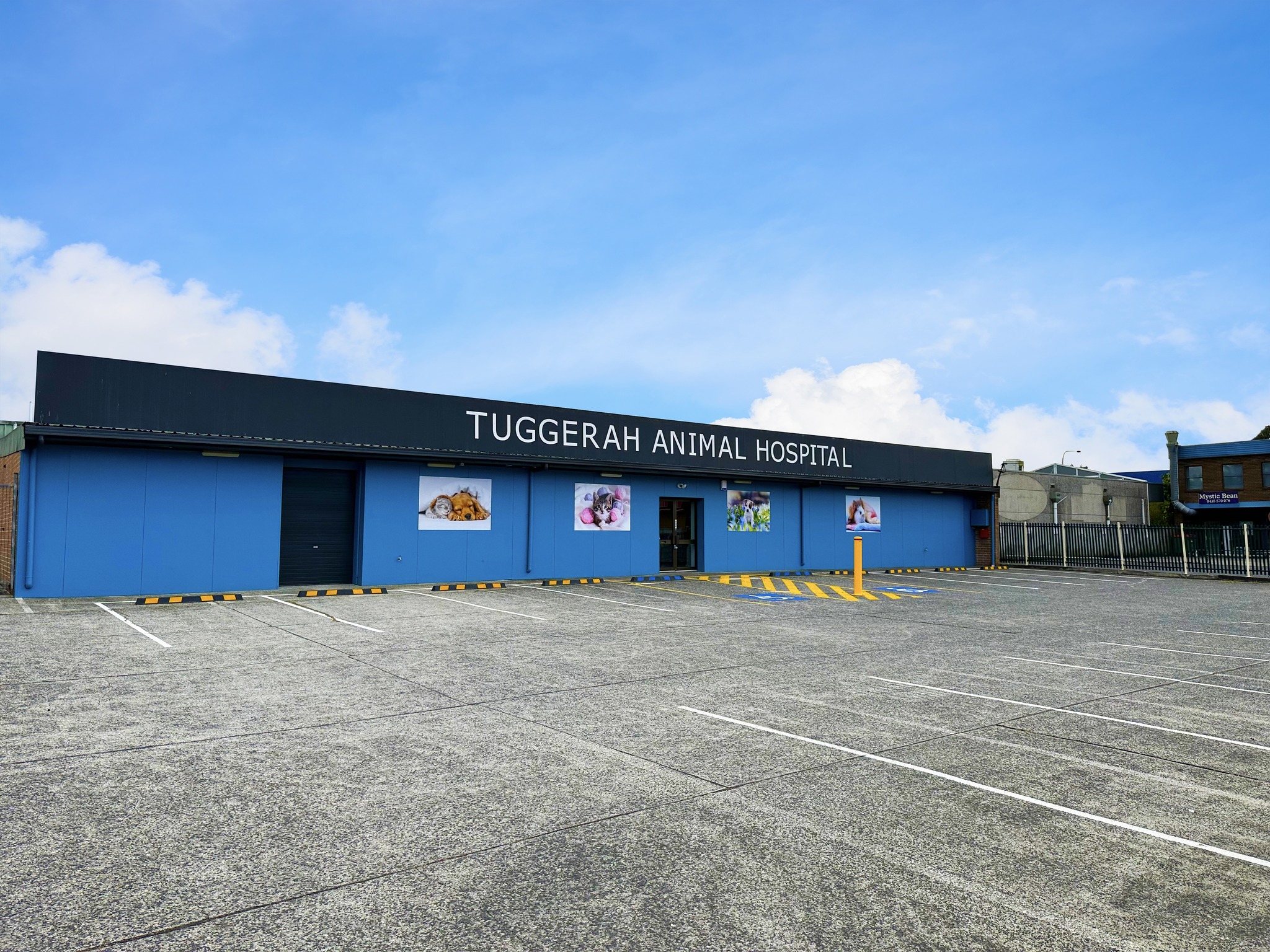 Tuggerah Animal Hospital Facebook ad
