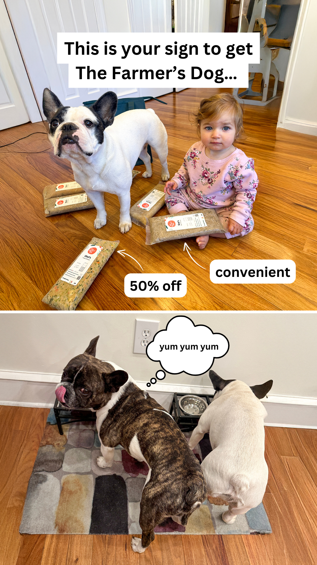 Rounds Of A Paws Facebook ad