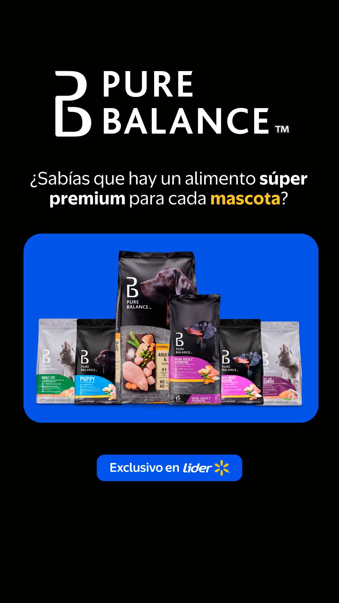 Lider Facebook ad: Alimento para Gatos Adulto Seco Pollo y Salmon, 2 kg | Lider