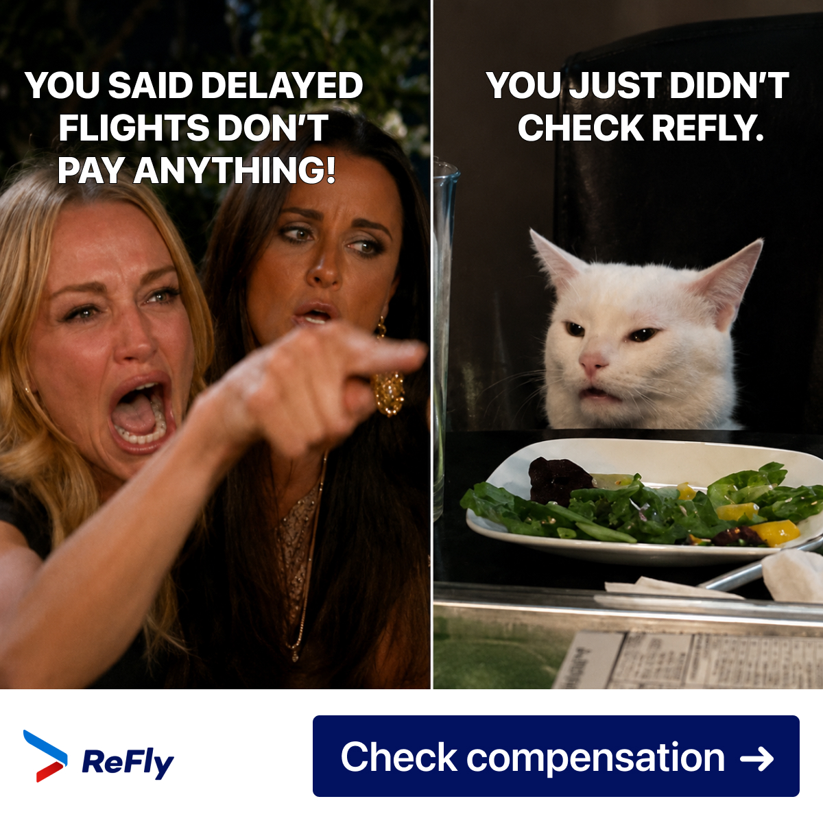 Refly Facebook ad