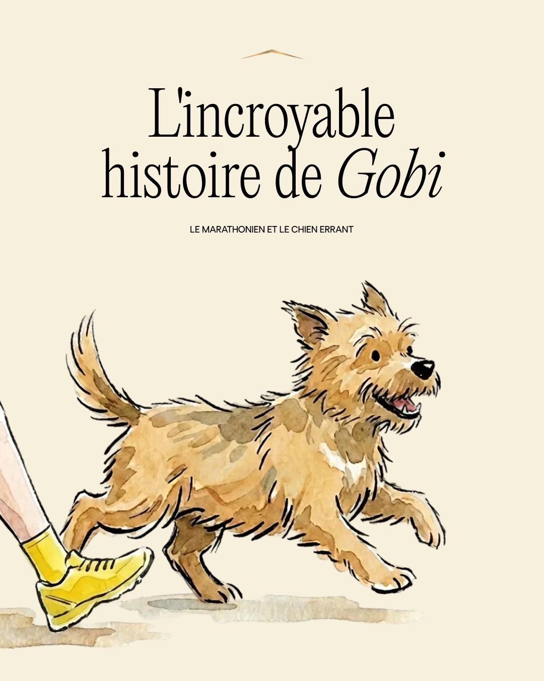 ProPlan France Facebook ad: Grande surprise sur la Gobi March Ultra Trail…