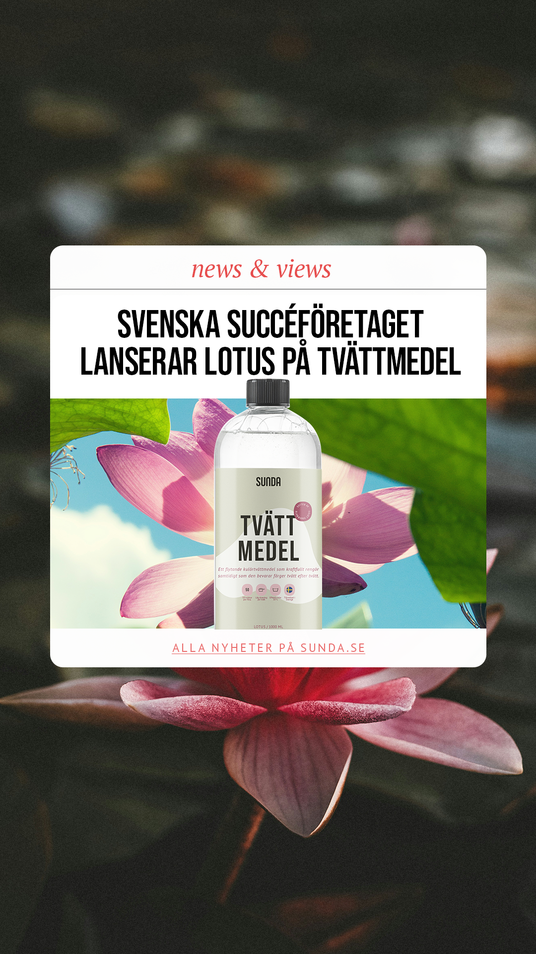 Sunda Facebook ad