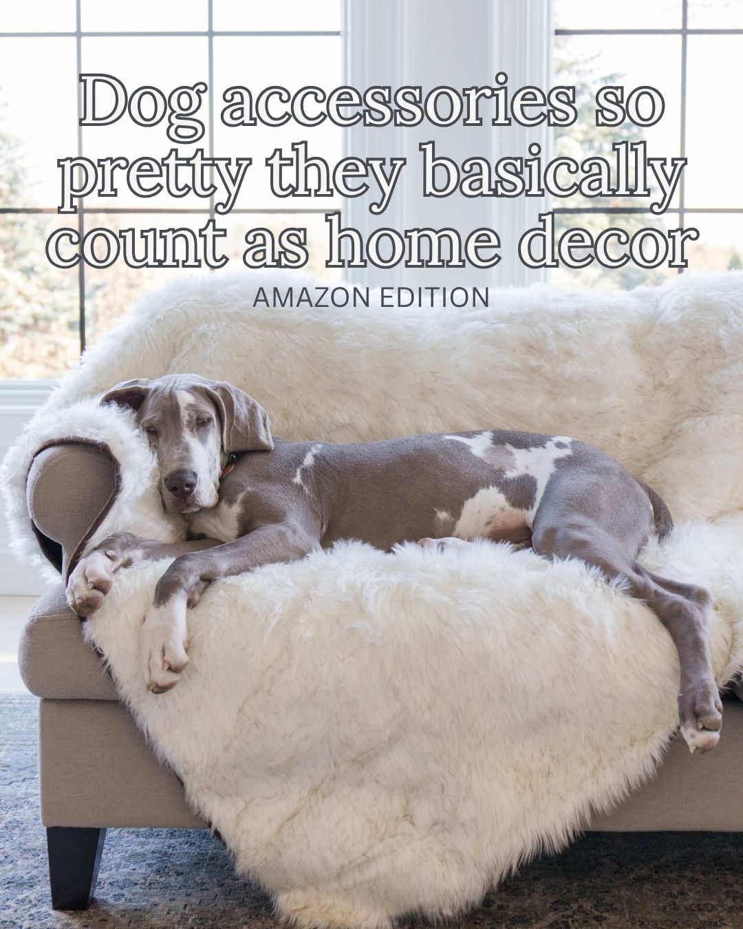 Arched Manor Facebook ad: Turns out dog accessories and home decor are…