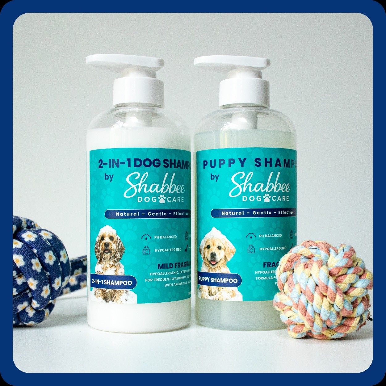 Shabbee Dog Care Facebook ad: Something exciting is coming to Shabbee Dog Care!