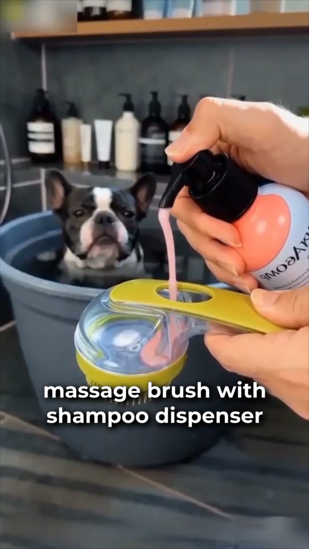 Kiwiwags Facebook ad: #1 Pet Bath Brush