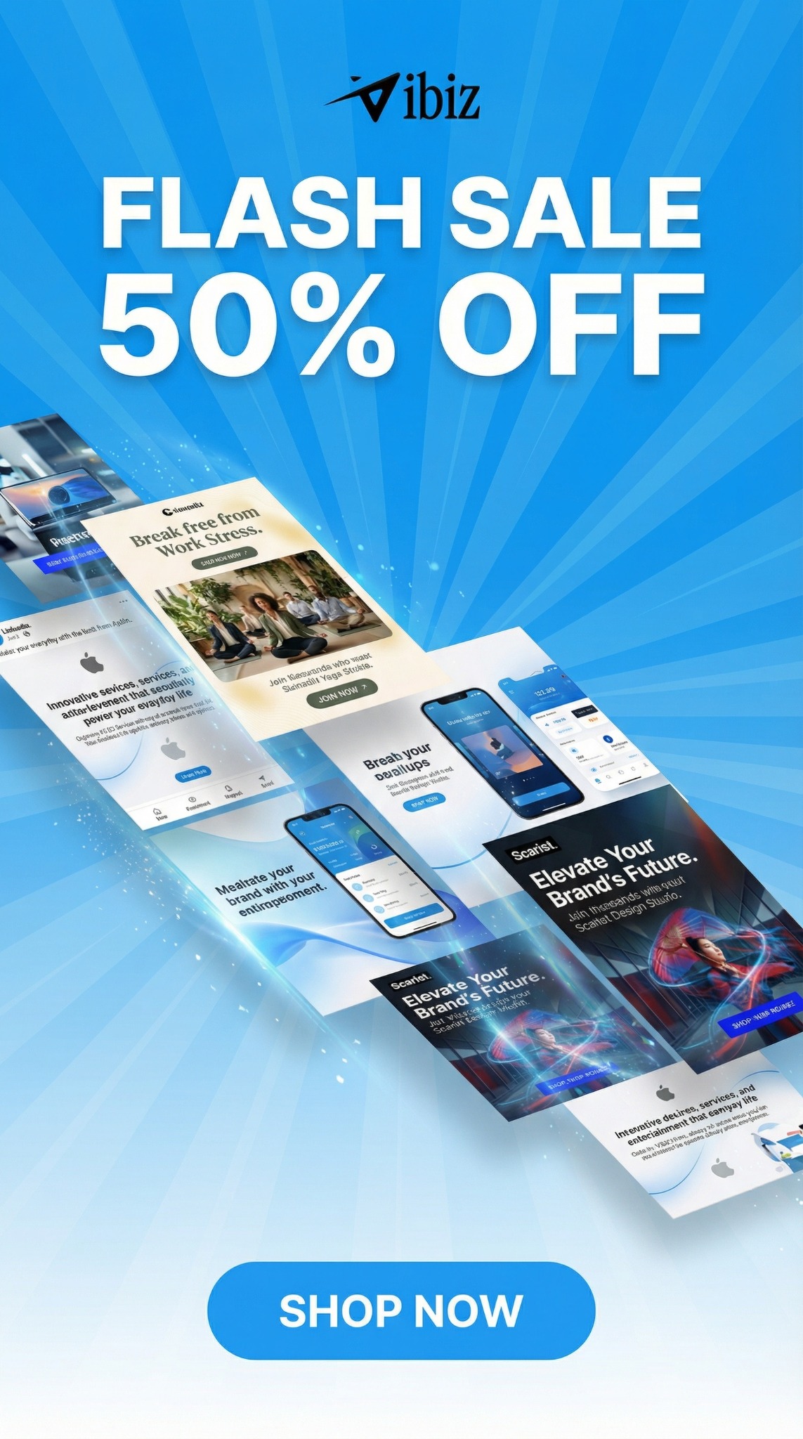 Vibiz Facebook ad