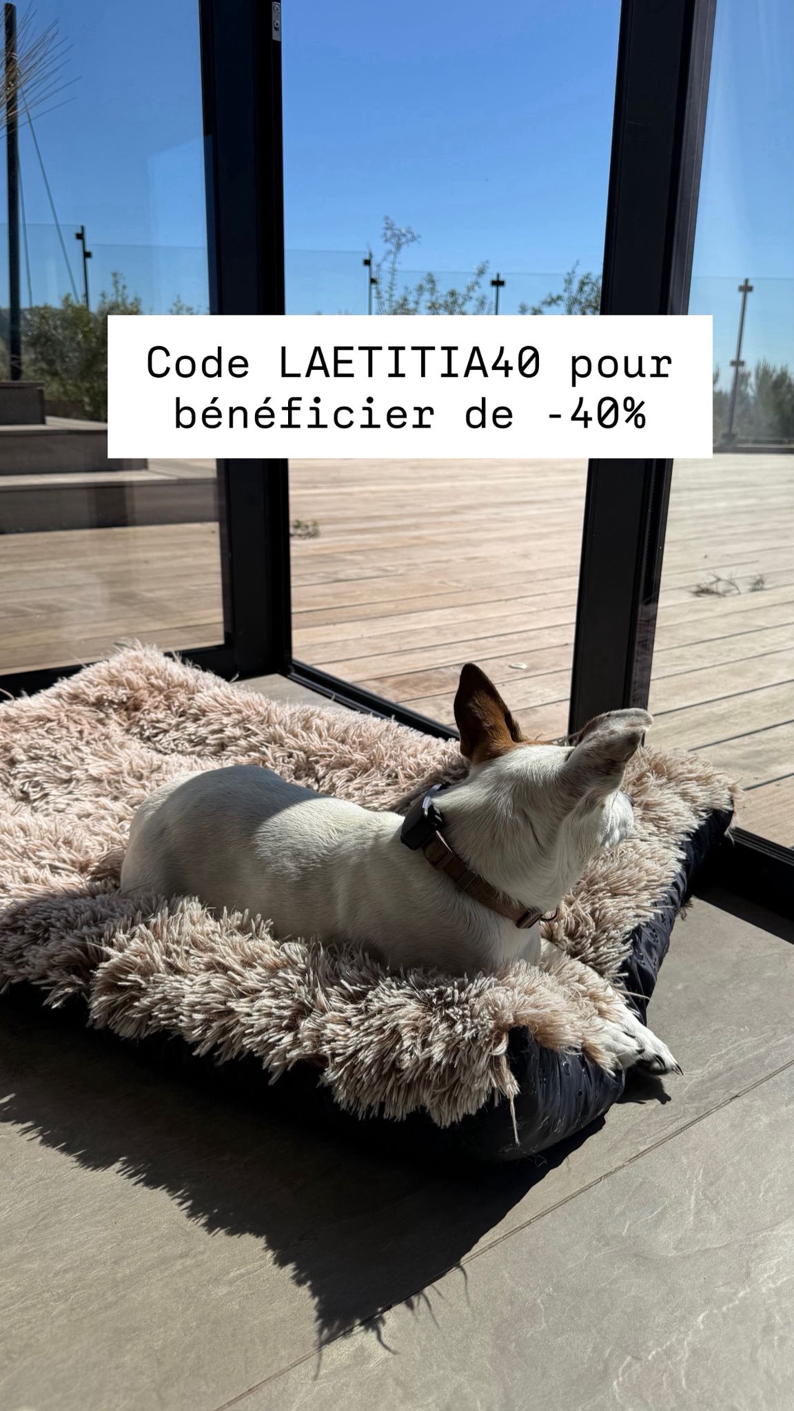 Tractive Facebook ad