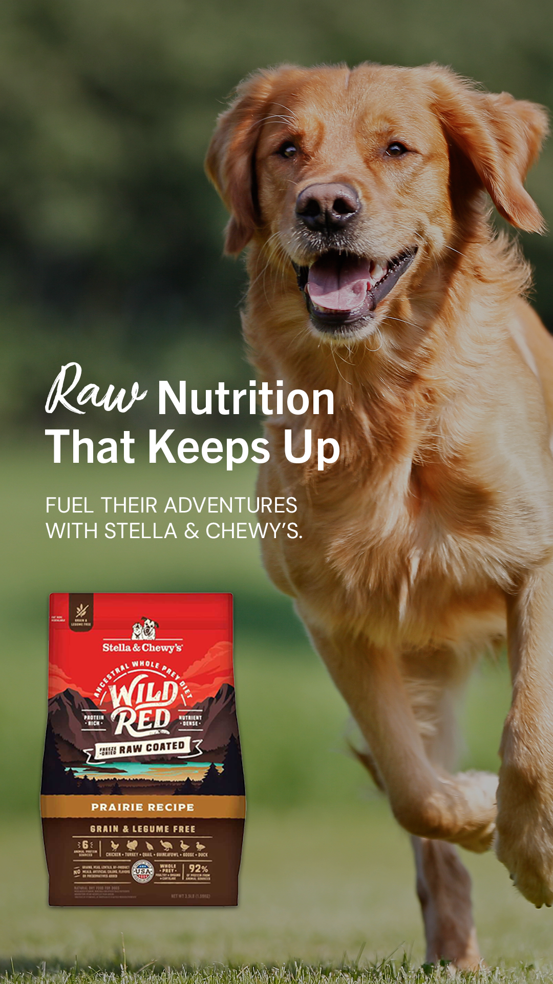 Stella & Chewy's Facebook ad