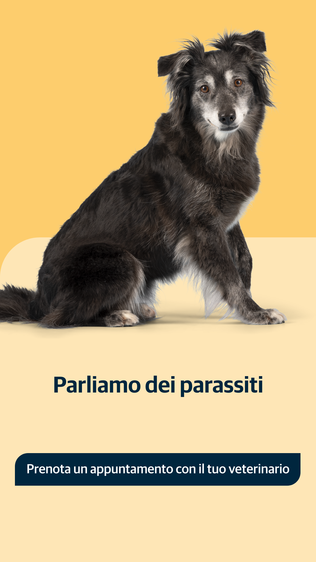 AniCura Italy Facebook ad: Parla con il tuo veterinario