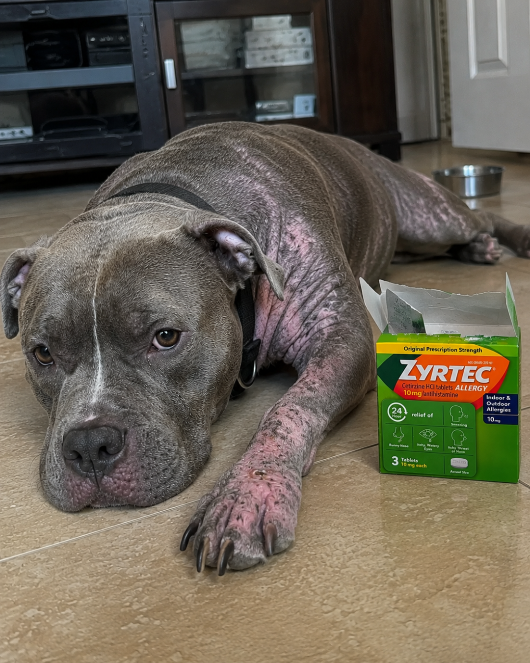 Barbara Rodgers Facebook ad: Read This Before Your Next Vet Bill