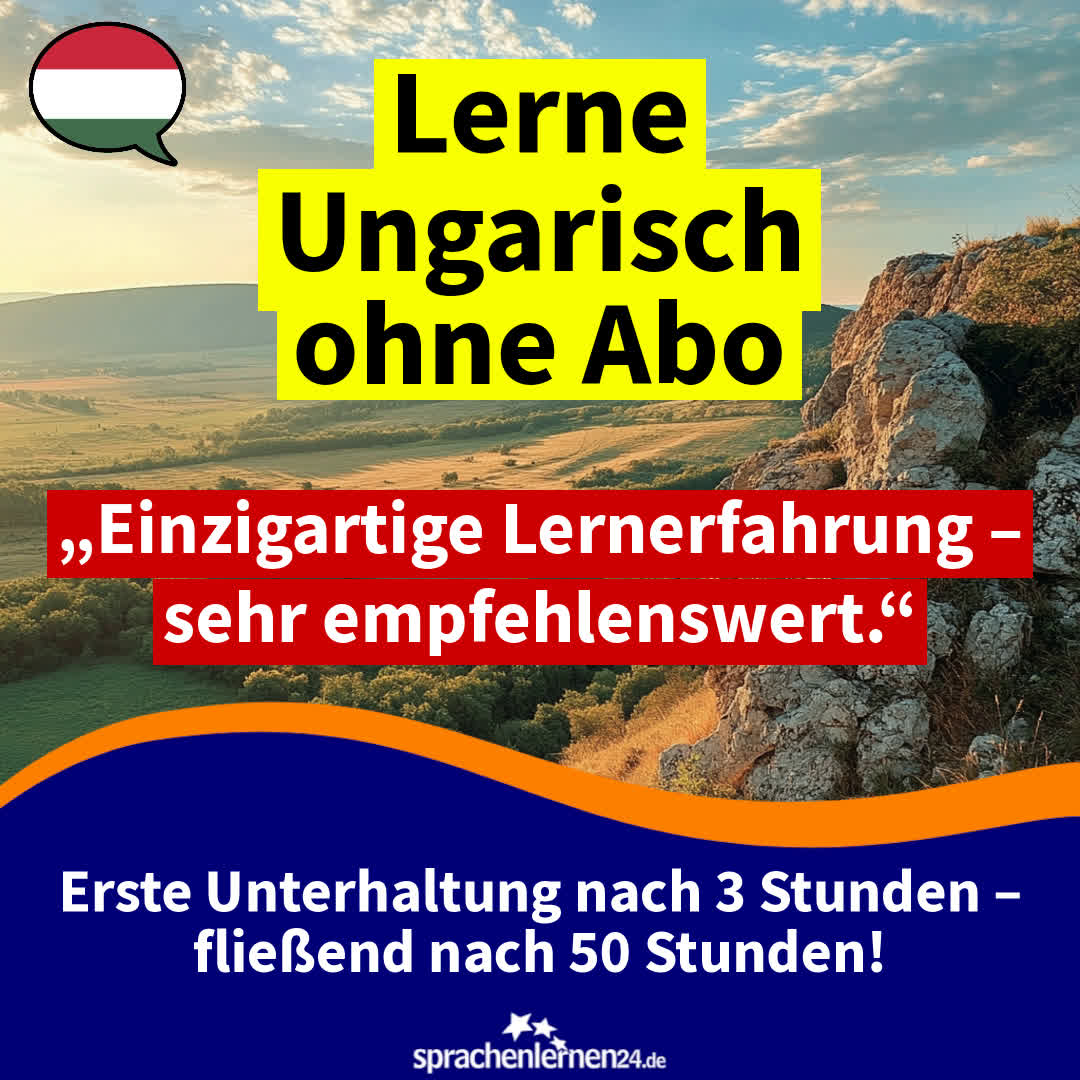 Polyglott in 17 Minuten pro Tag Facebook ad