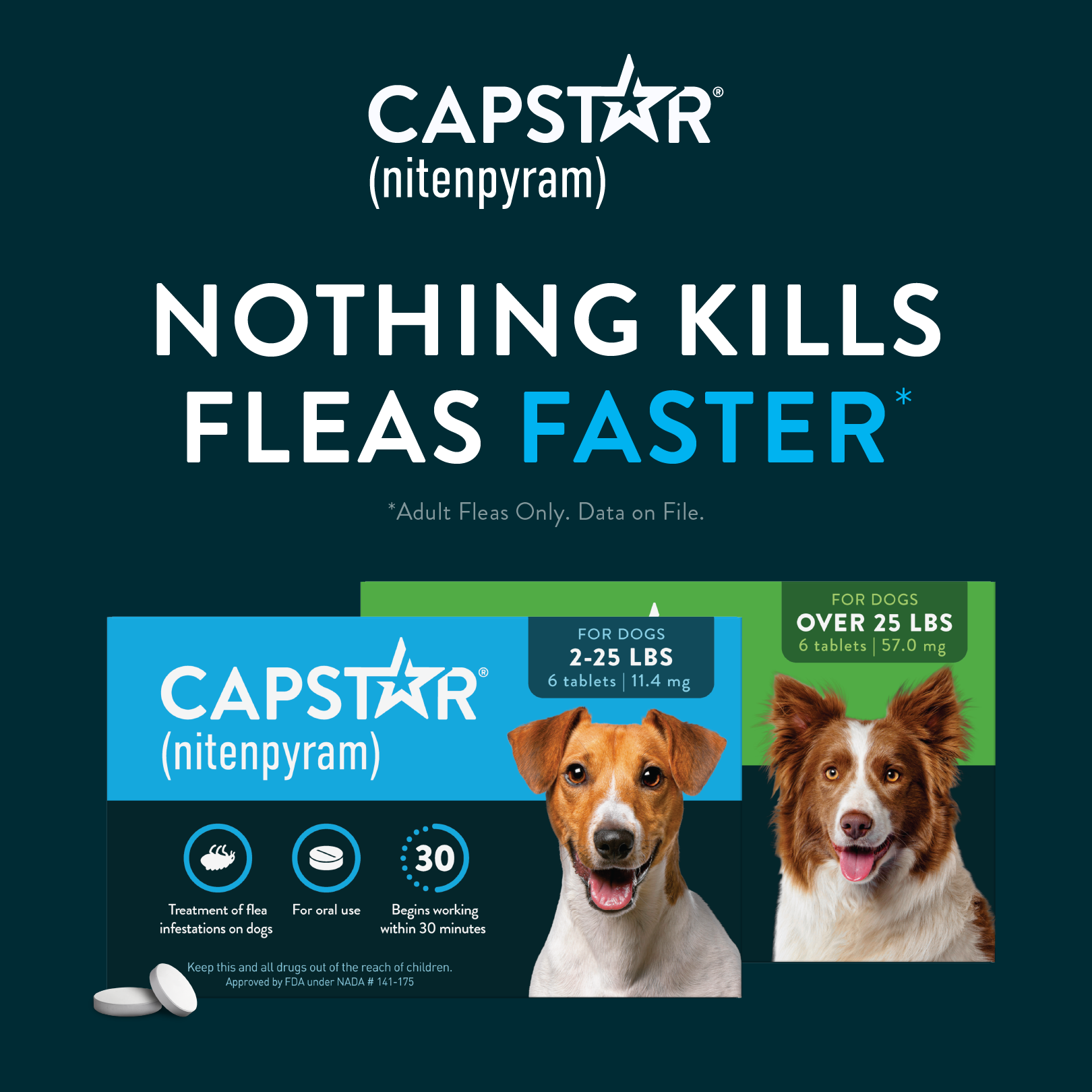 Capstar (nitenpyram) Facebook ad