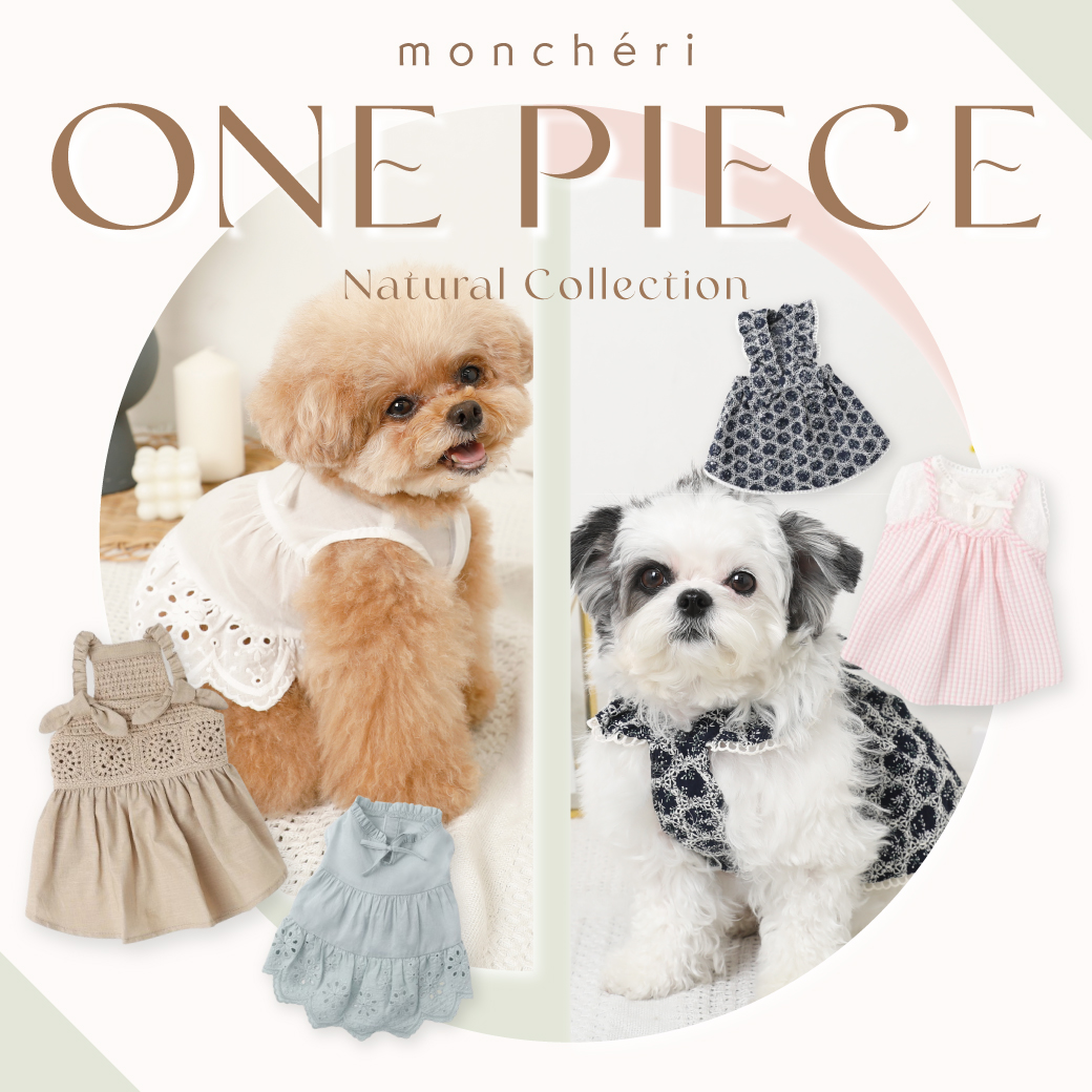 Monchéri Facebook ad