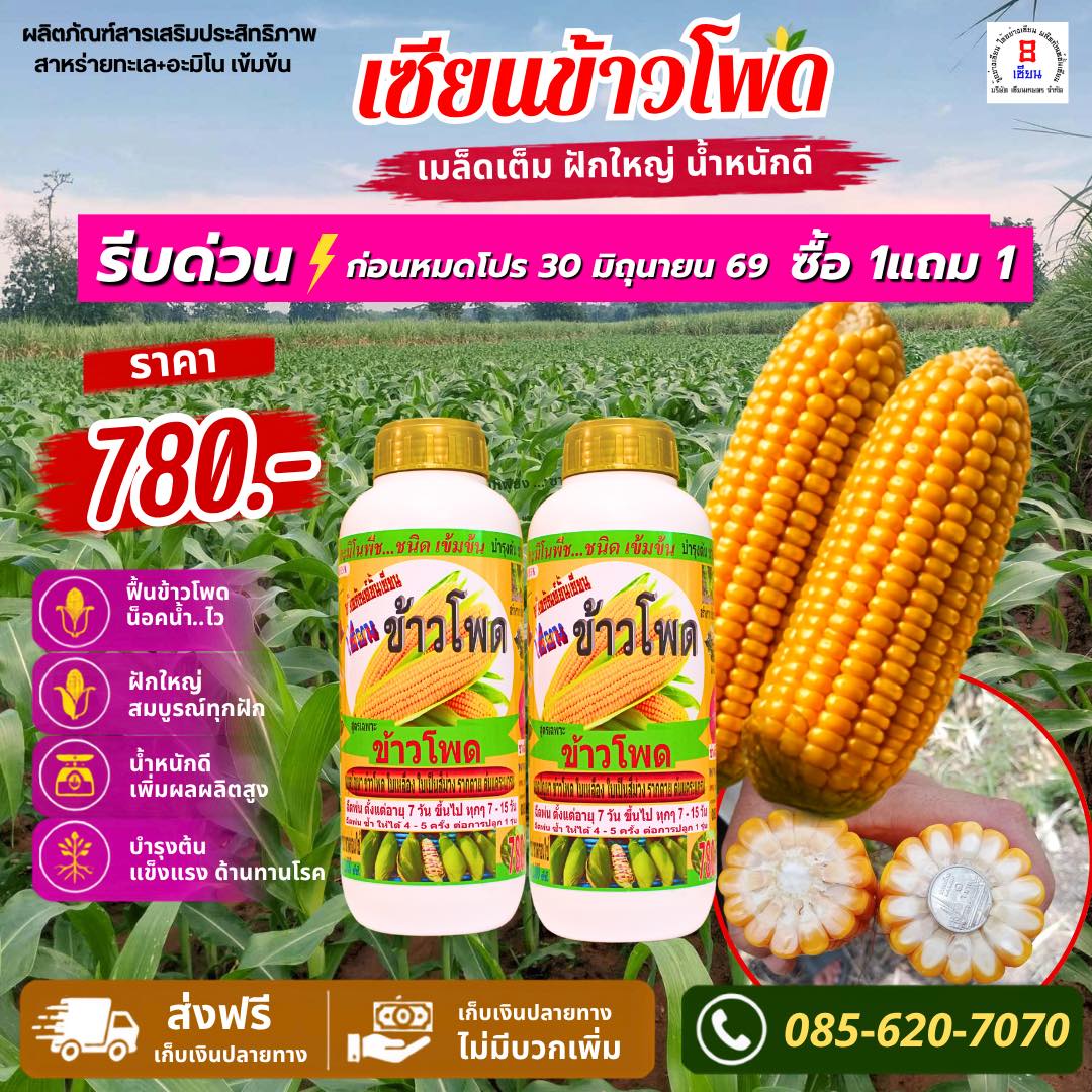 8เซียน เซียนเกษตร Facebook ad: โปรแรง! ฟื้นข้าวโพดน็อคน้ำ