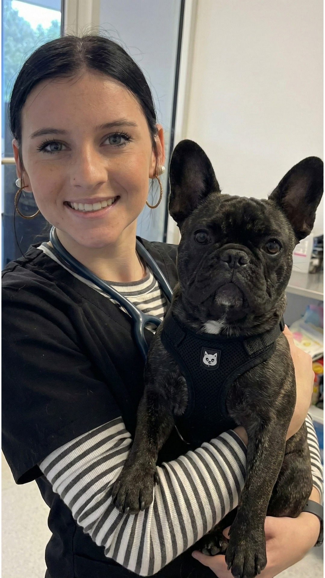 Riverside Animal Hospital Facebook ad: Fast Relief for Itchy Ears and Skin