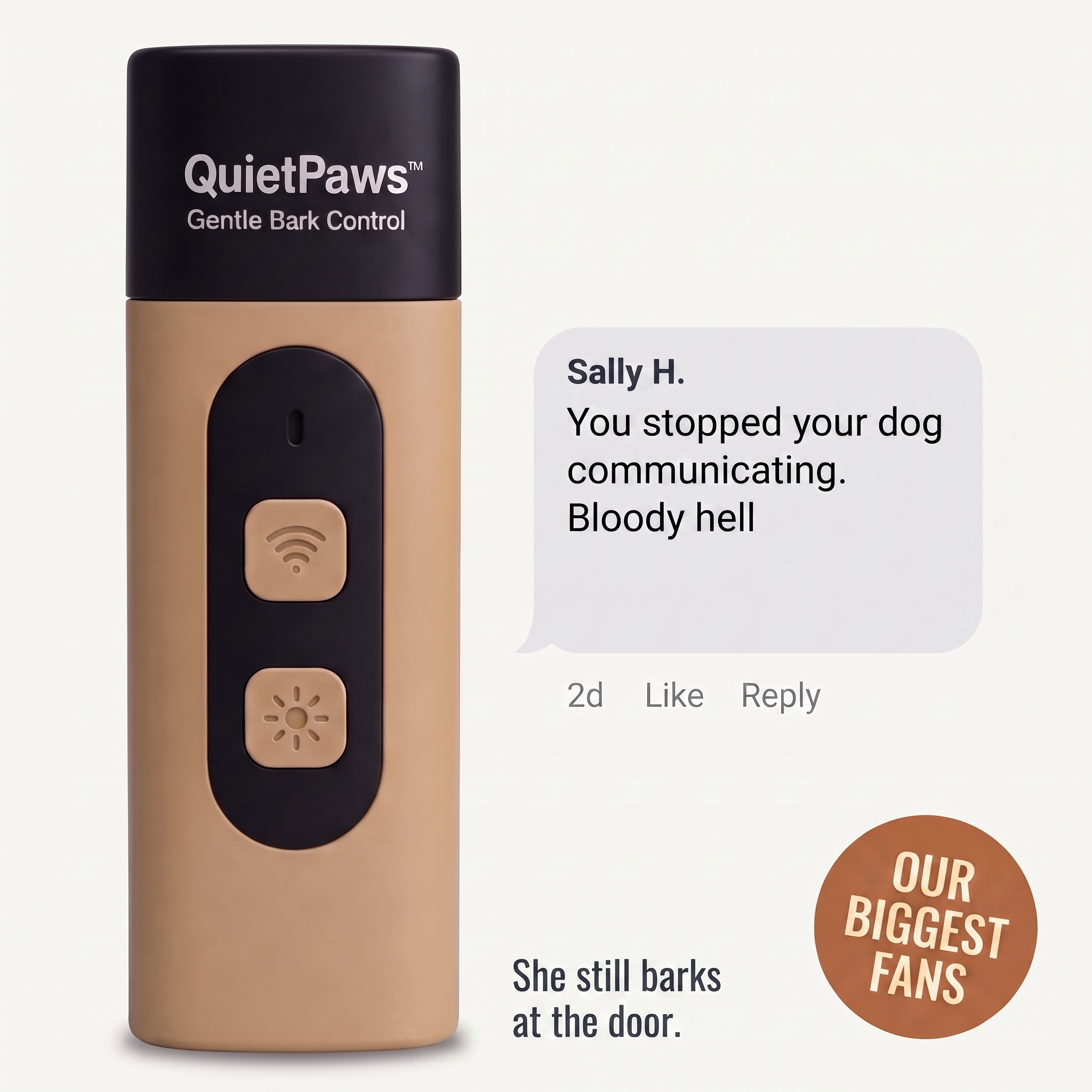 Hunters Doggy Daycare Facebook ad