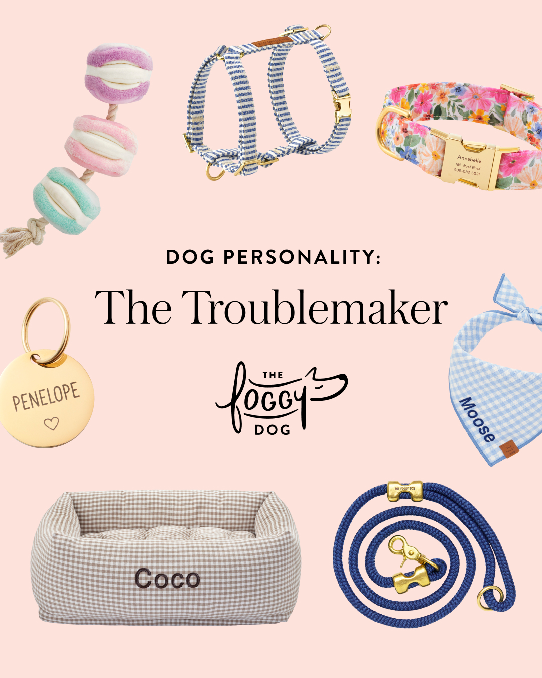 The Foggy Dog Facebook ad