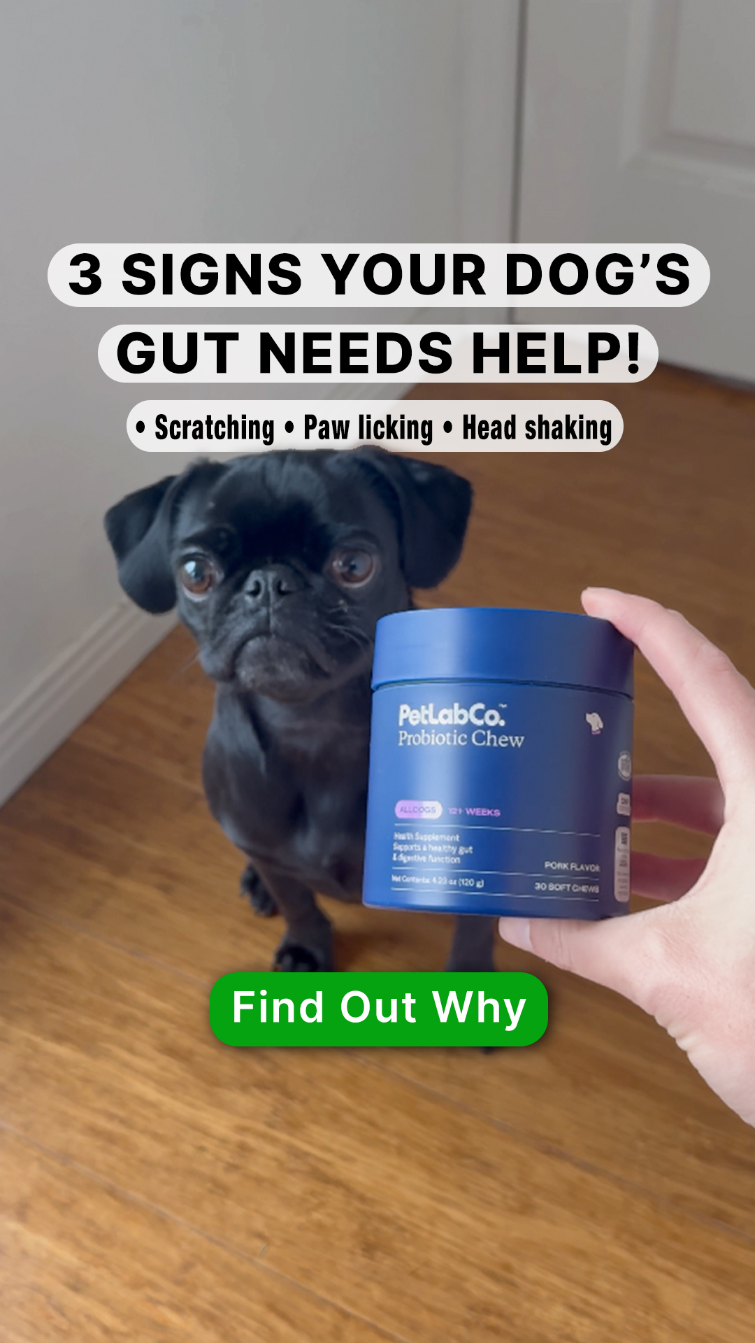 Bailey Tarr Facebook ad
