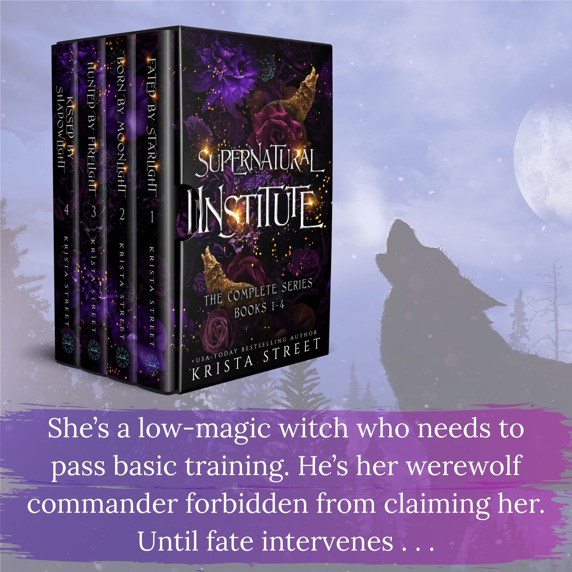 Krista Street, USA Today Bestselling Author Facebook ad