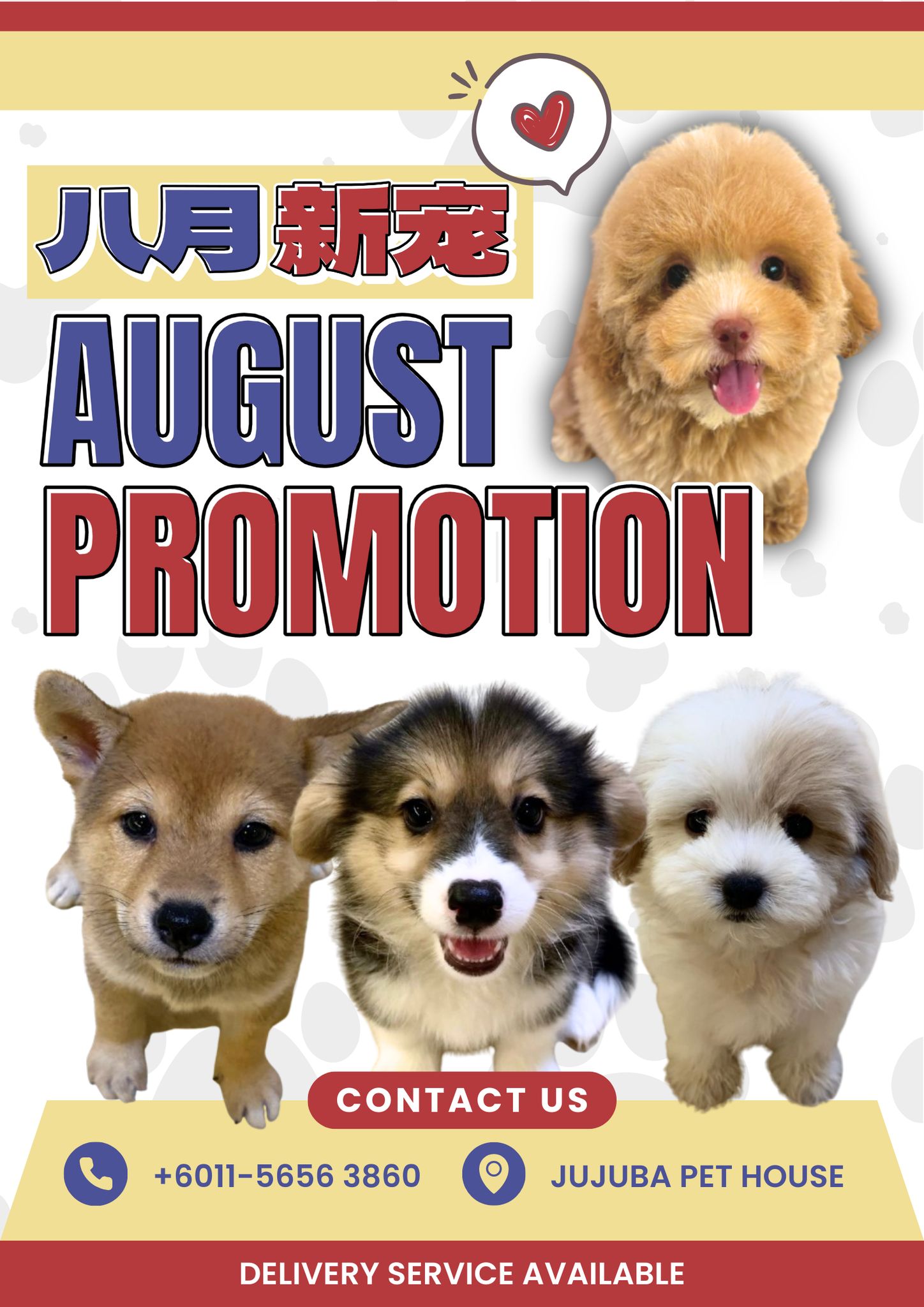 JuJuba Pets 聚聚吧 宠物宝宝の家 Facebook ad