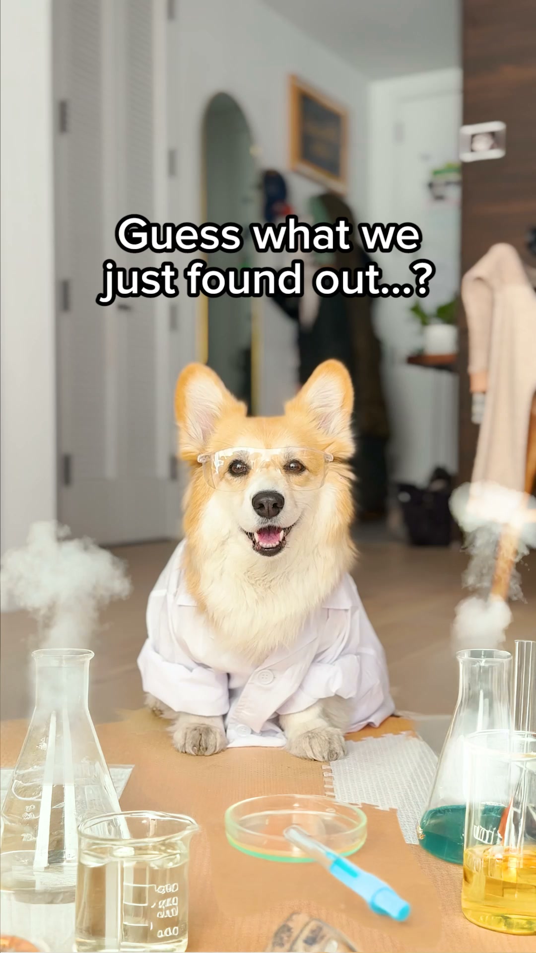 Sundays Facebook ad: Unlock 50% off your first order