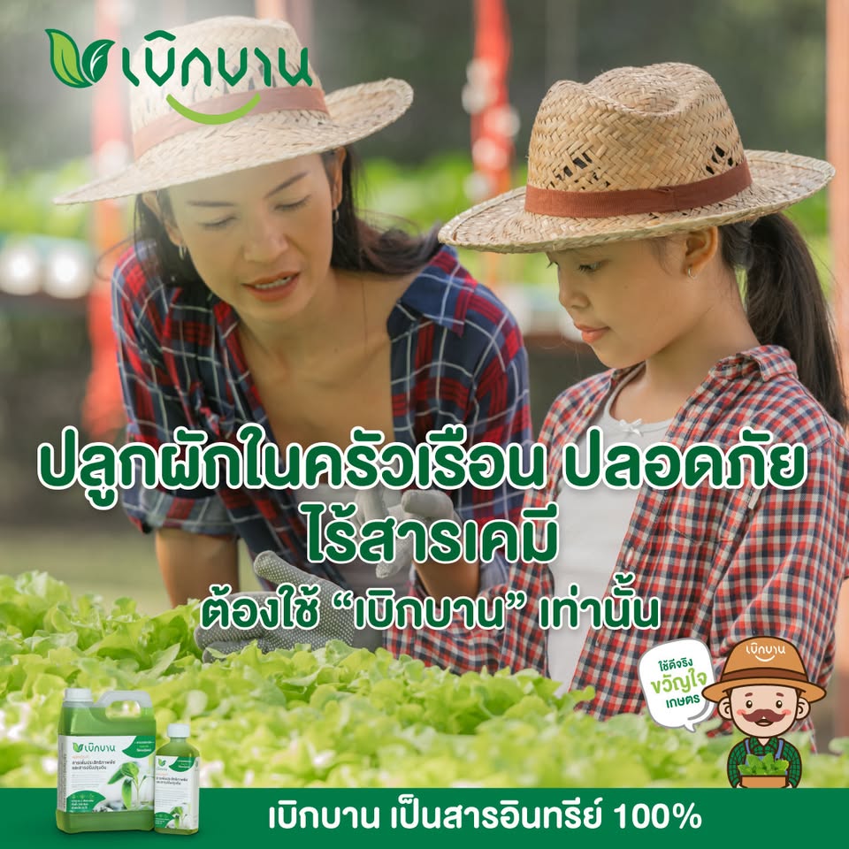เบิกบาน สารเพิ่มประสิทธิภาพพืช Facebook ad: ปลูกผักทานเองในครัวเรือน