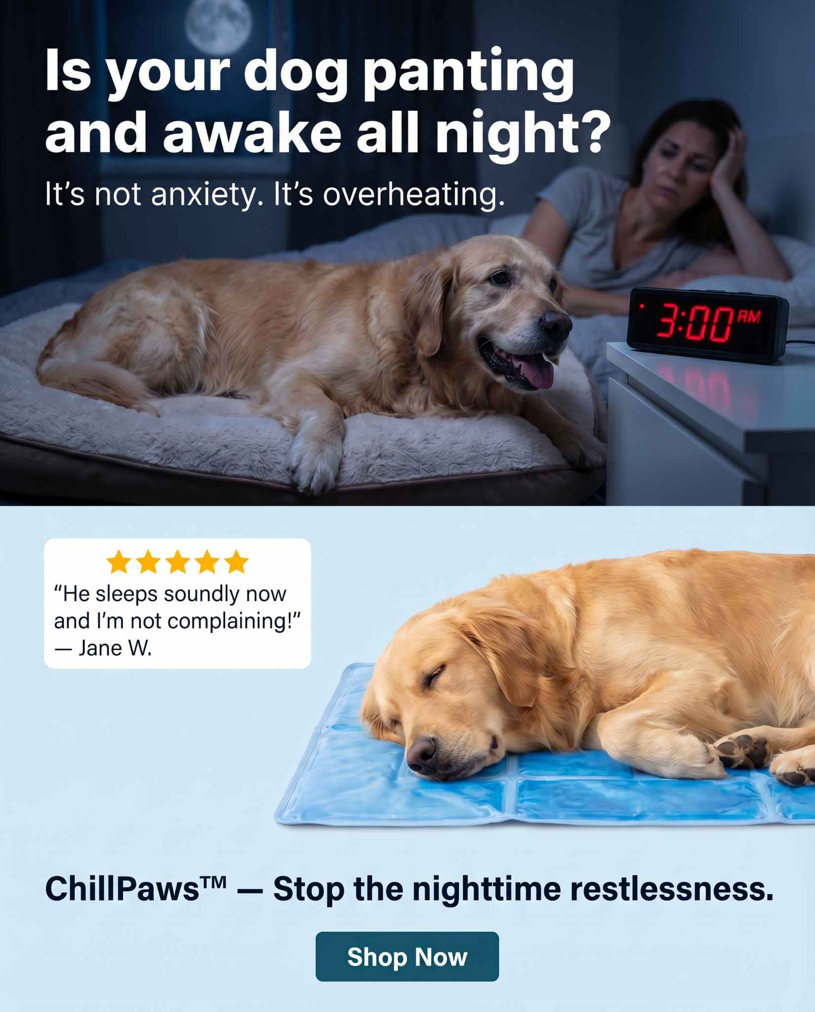 Rhykin Pet Co Facebook ad
