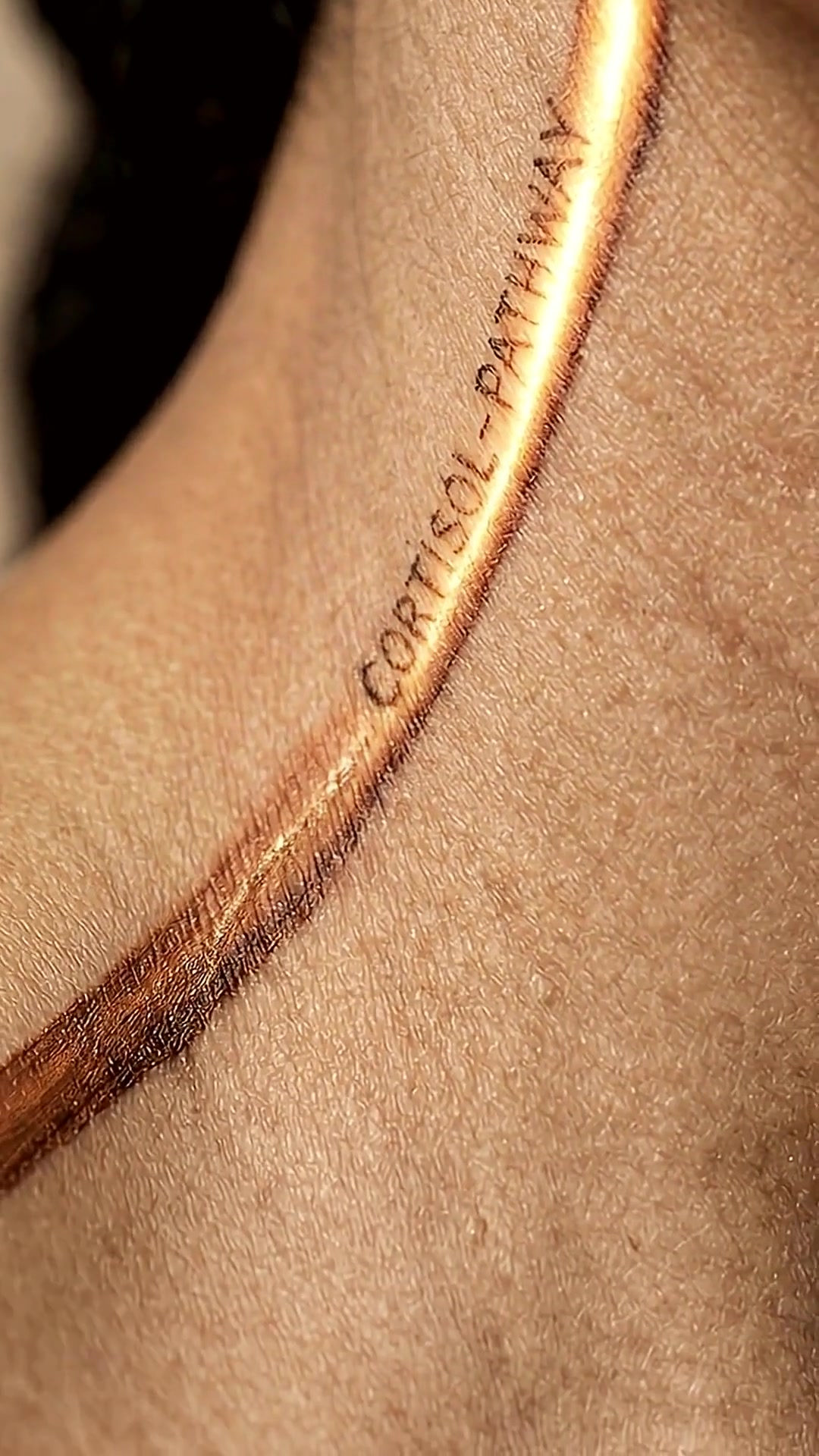 The Hormone Diaries Facebook ad: Meet The Hormone That's Eating Your Belly After 40