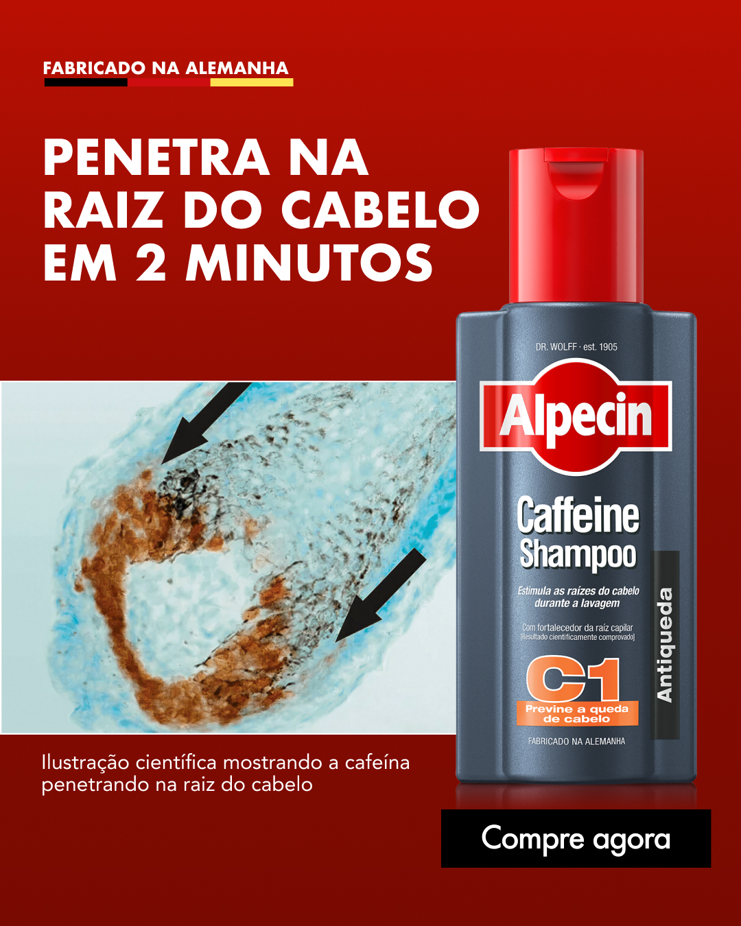 Alpecin Brasil Facebook ad