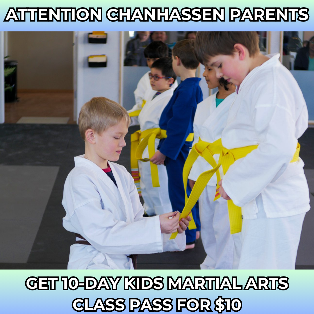 Metro Karate & Jiu Jitsu Academy Facebook ad: Want a 10-Day, Kids Martial Arts Class Pass For $10?
