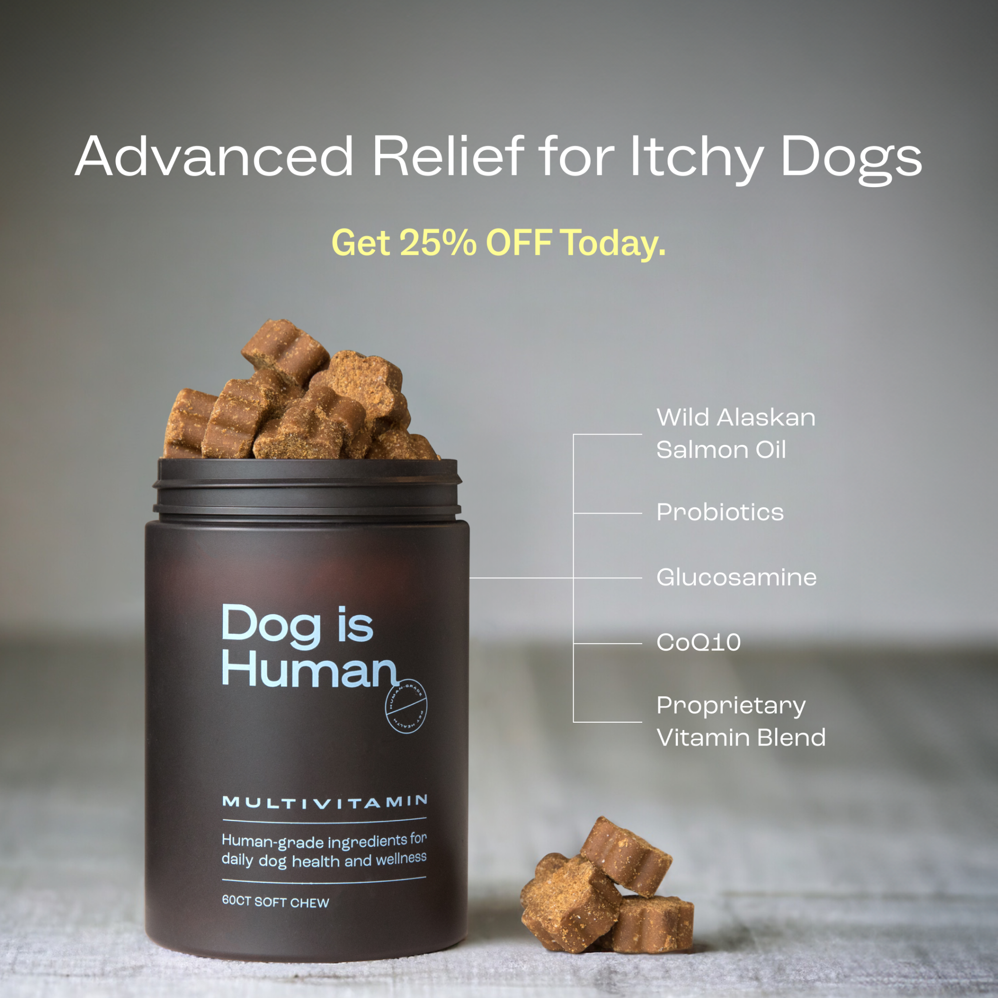 Dog is Human Facebook ad