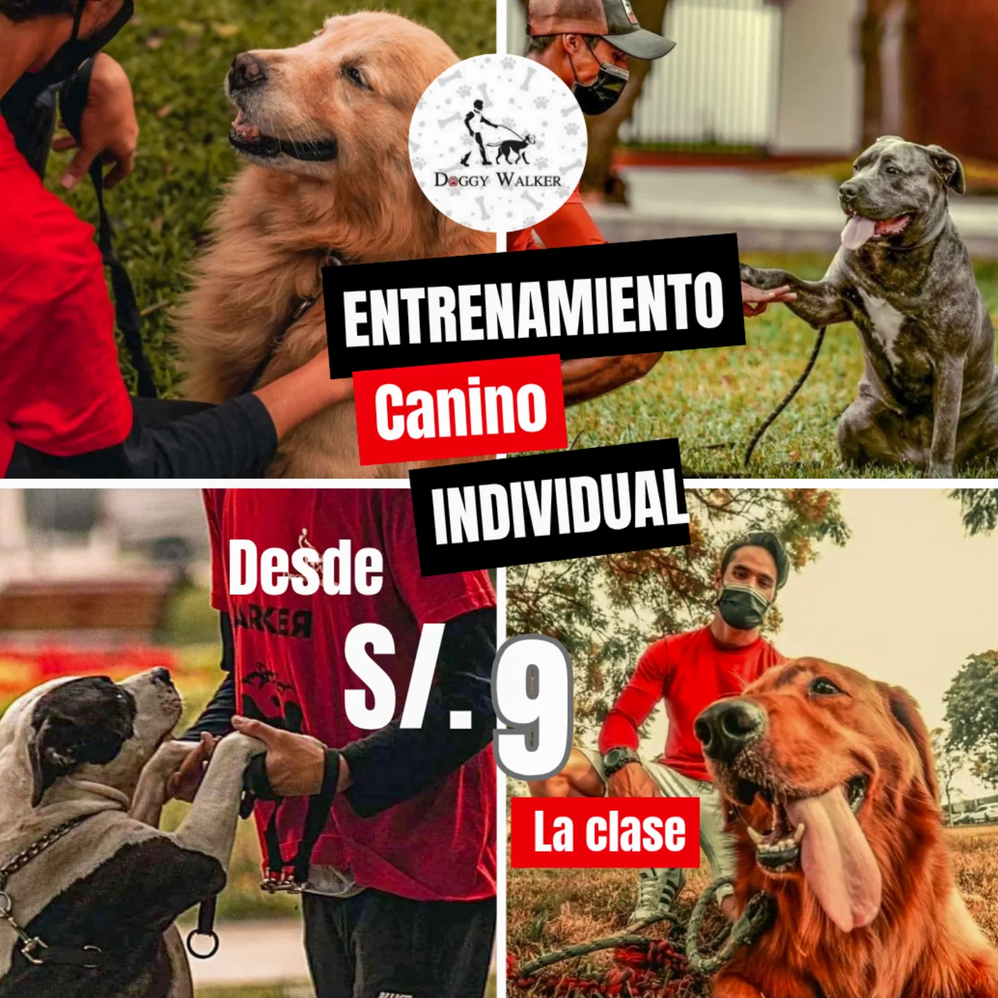 Doggy Walker Facebook ad