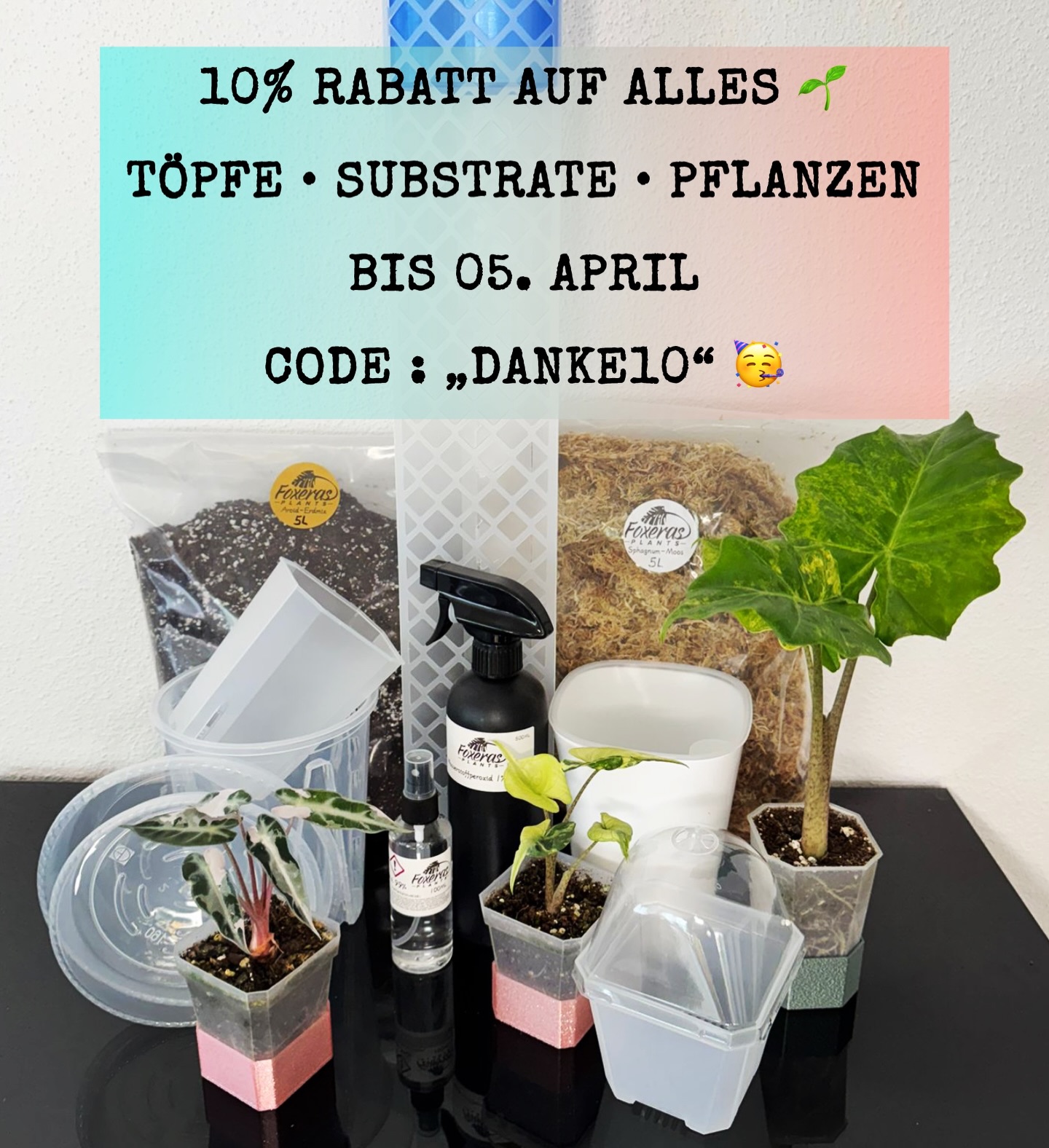 Foxeras_official Facebook ad: Foxeras Plants - Pflanzen und Zubehör für deine grüne Oase
