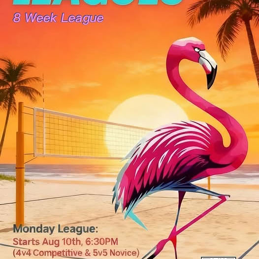 Flock Sports and Social Experience Facebook ad: Flock Sand Volleyball League