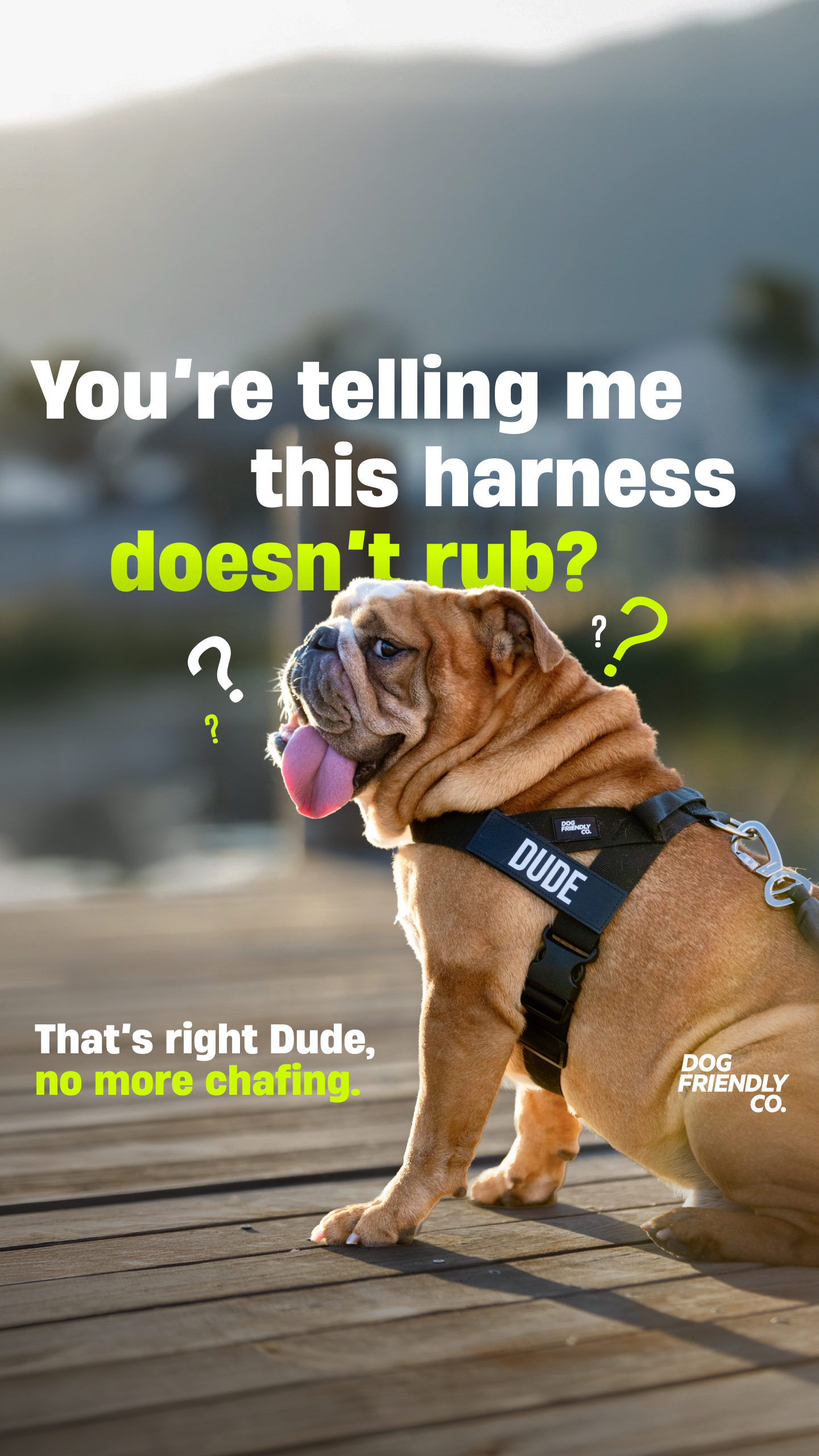 Dog Friendly Co. Facebook ad: Rated #1 By Dog Owners
