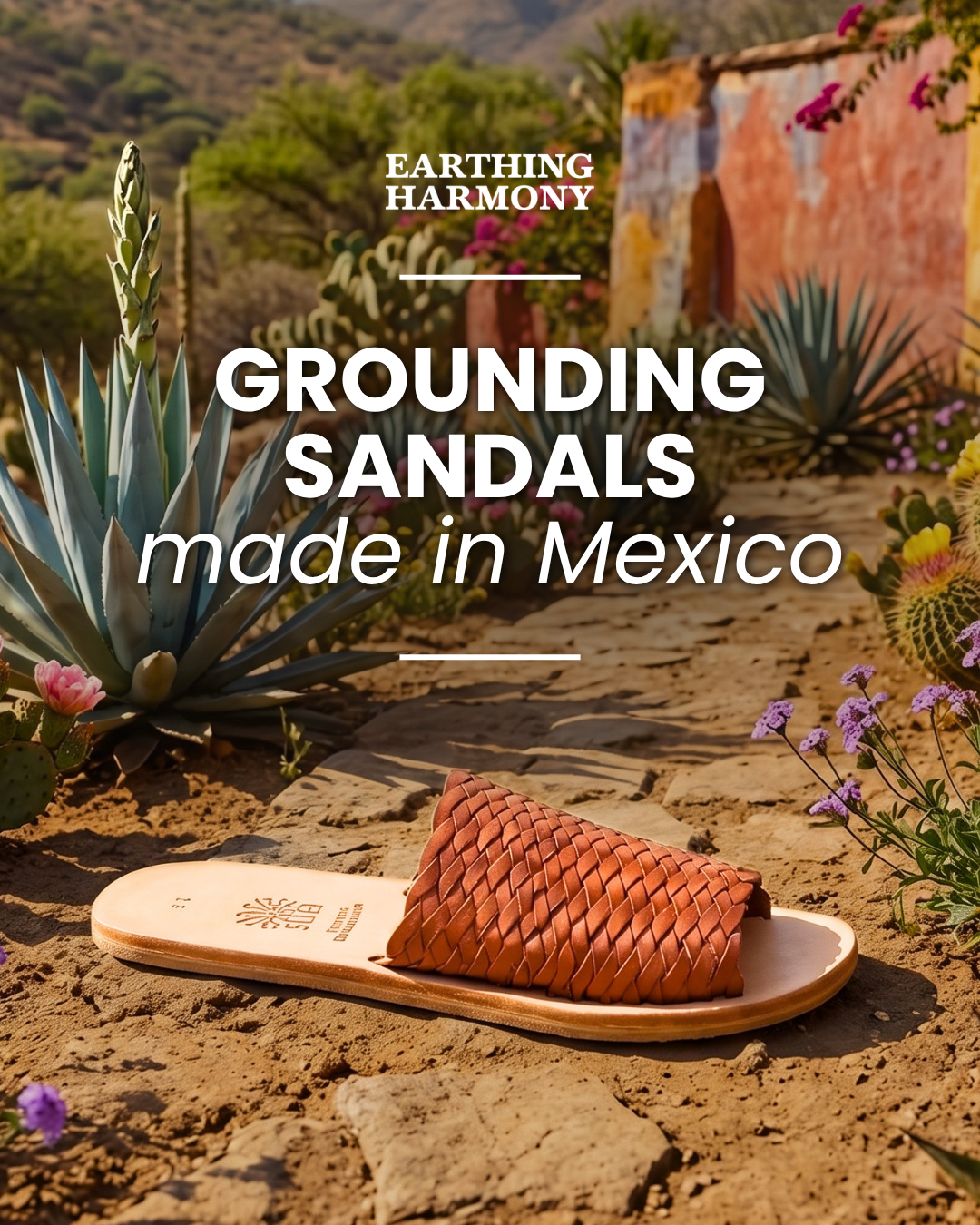 Earthing Harmony Facebook ad