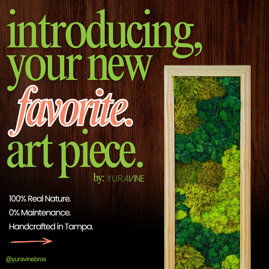 Yura Vine Brothers Facebook ad: Maintenance Free Moss Art.