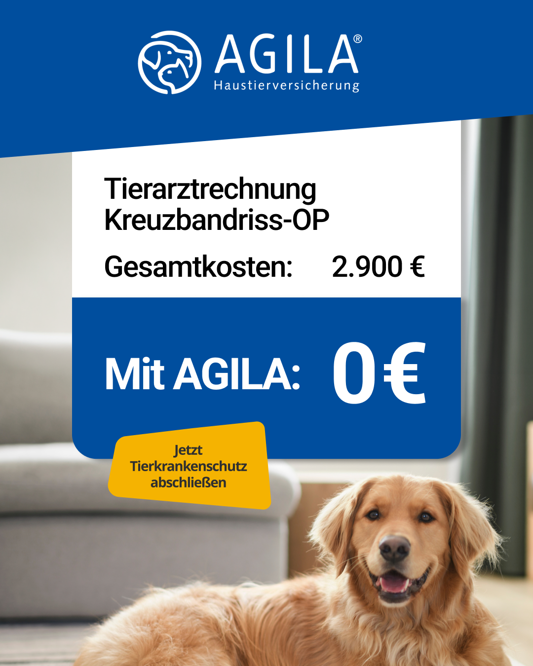 AGILA Haustierversicherung Facebook ad