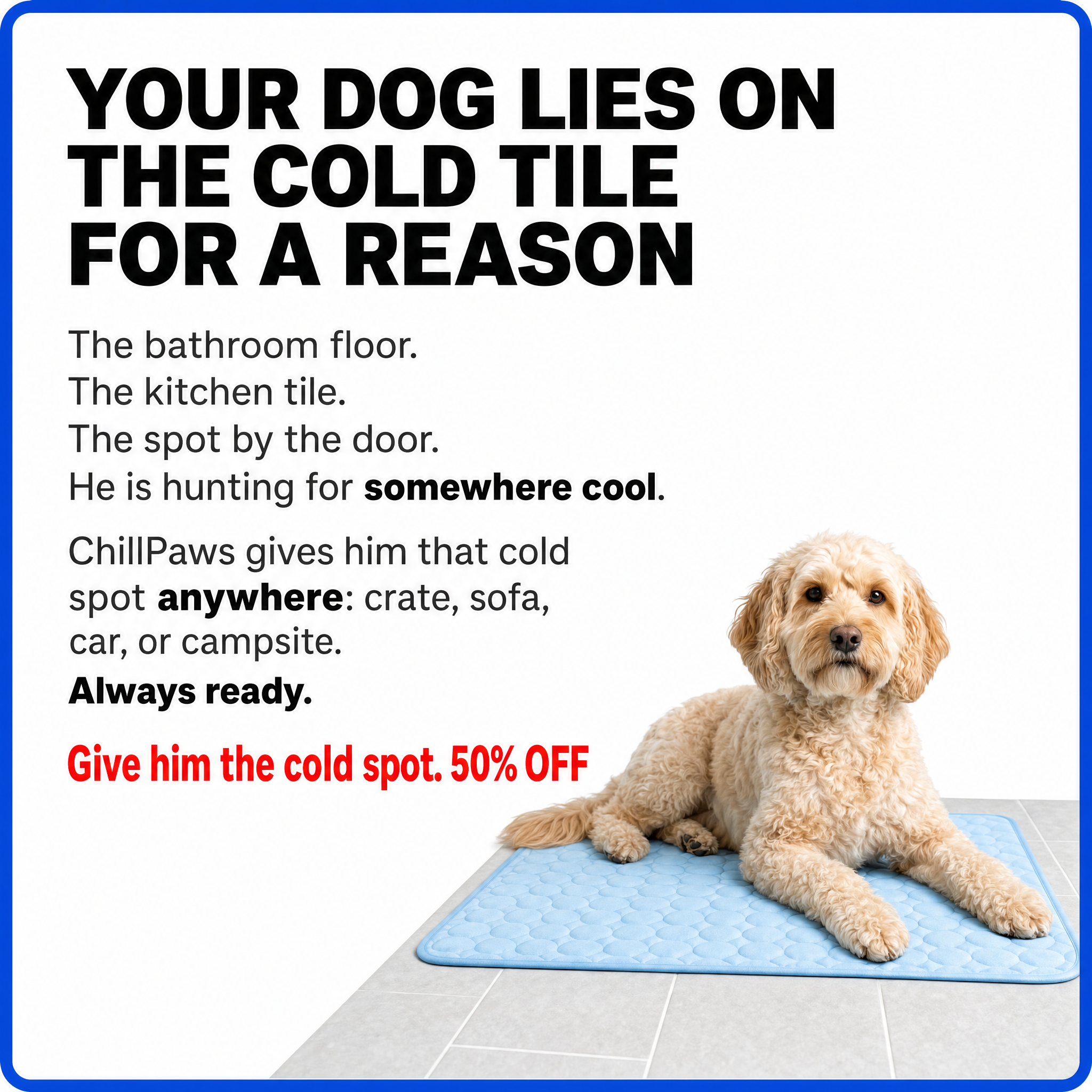 Rhykin Pet Co Facebook ad