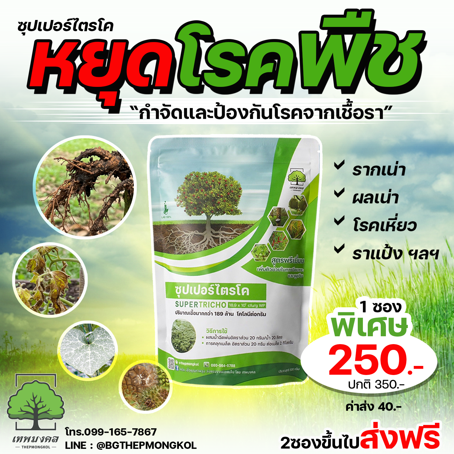 ซุปเปอร์ไตรโค สูตรป้องกันและกำจัดเชื้อรา Facebook ad