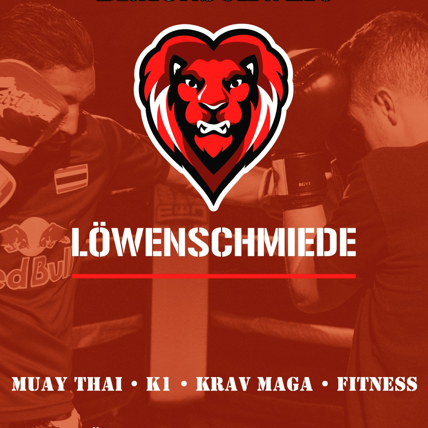 Löwenschmiede Braunschweig Facebook ad