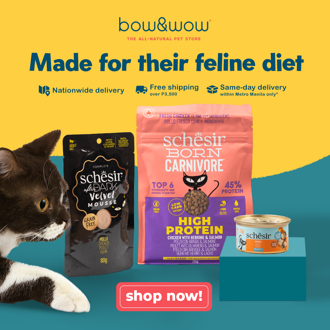 Bow & Wow – The All-Natural Pet Store Facebook ad