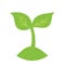 Read With Sprout