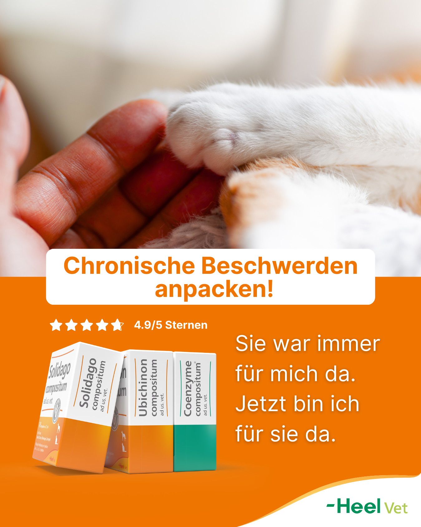 Heel Vet Facebook ad from Jan 21, 2026