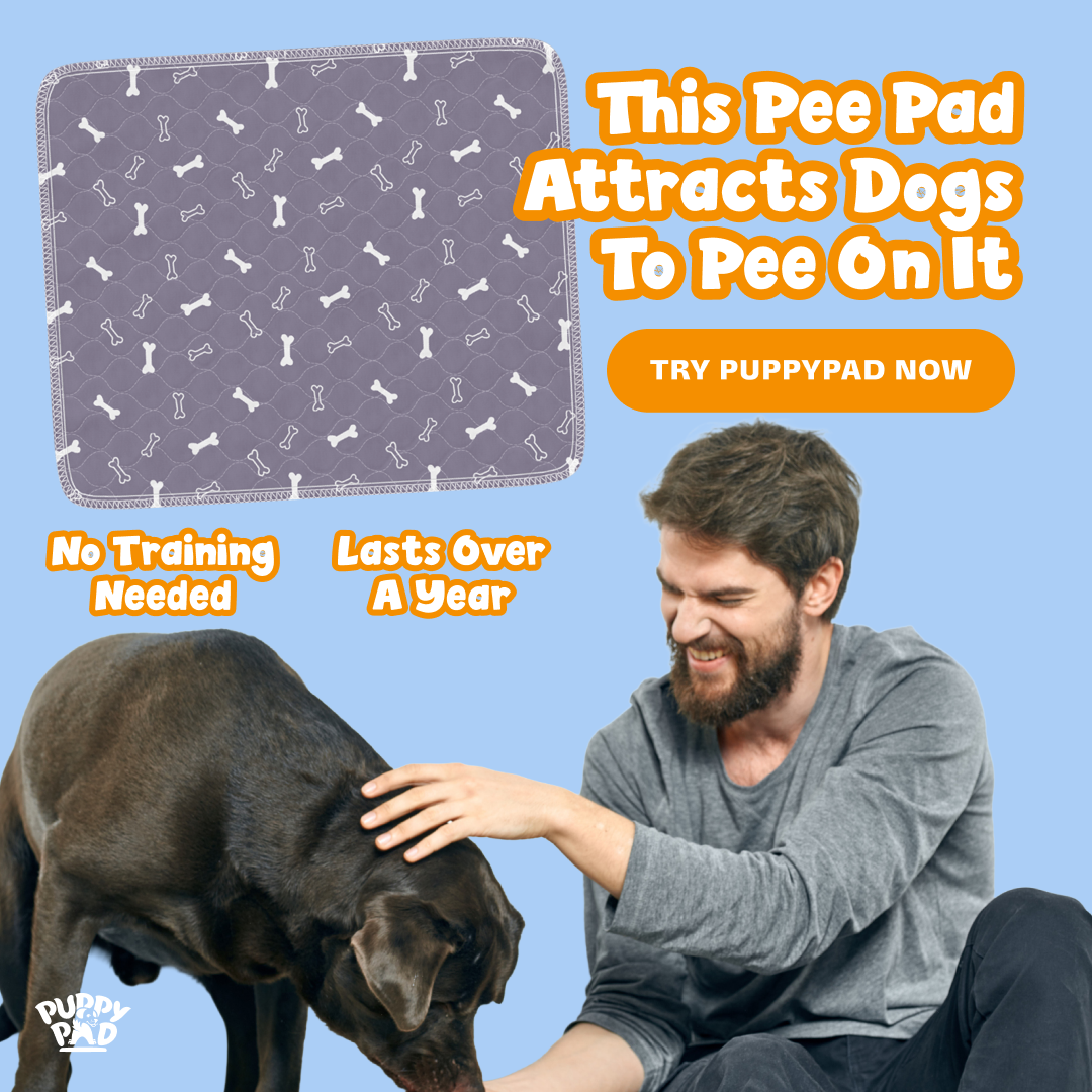 PuppyPad Facebook ad