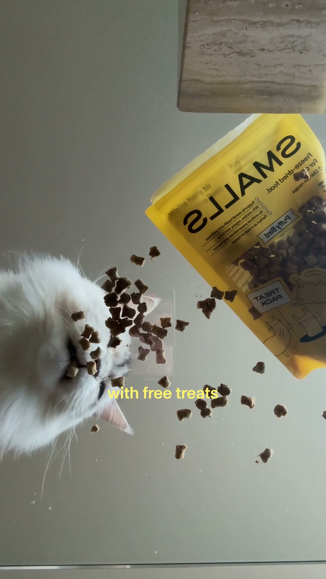 Smalls Facebook ad: Human-Grade Fresh Cat Food