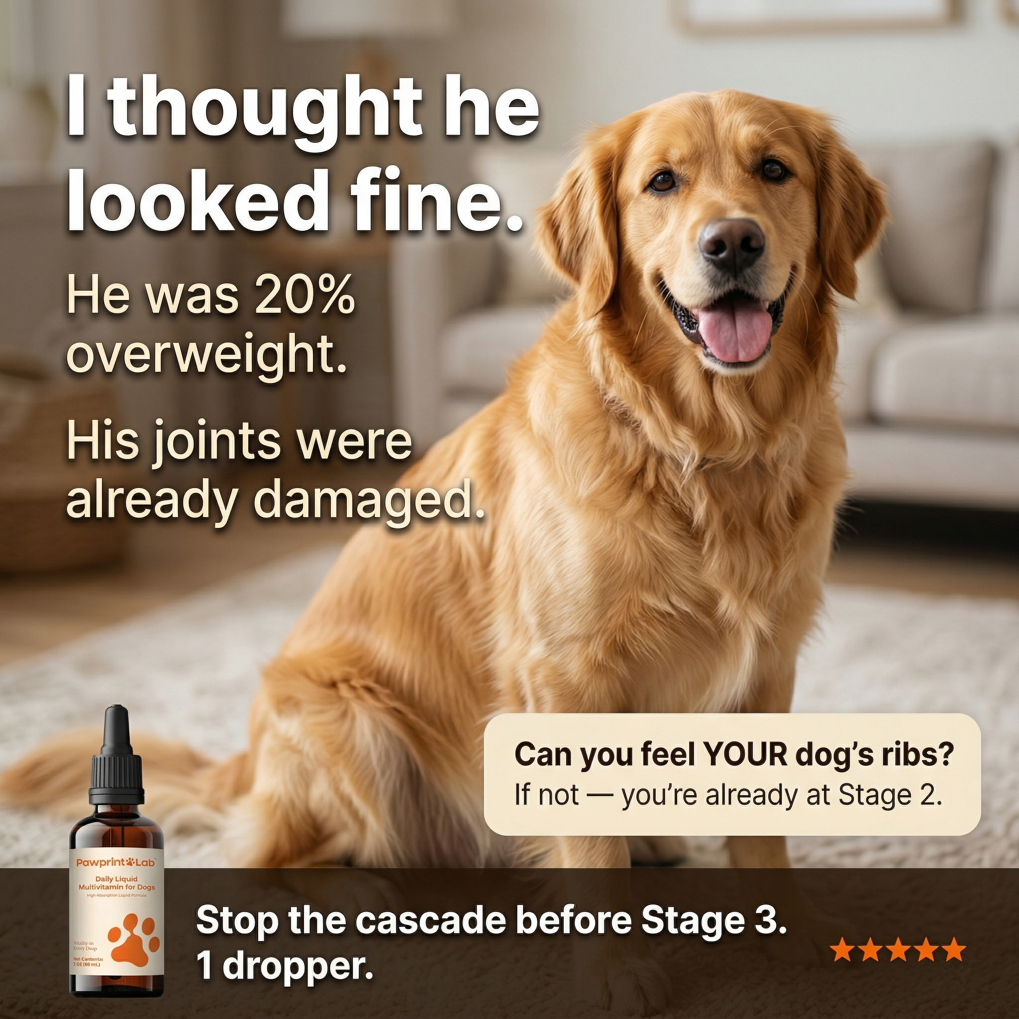 Vet-Approved Pet Products Facebook ad