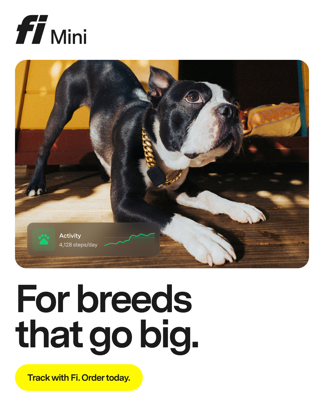 Fi Facebook ad