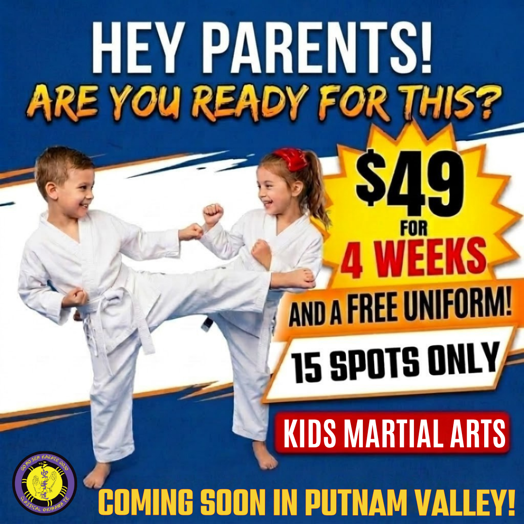 Go No Sen Karate Dojo Facebook ad