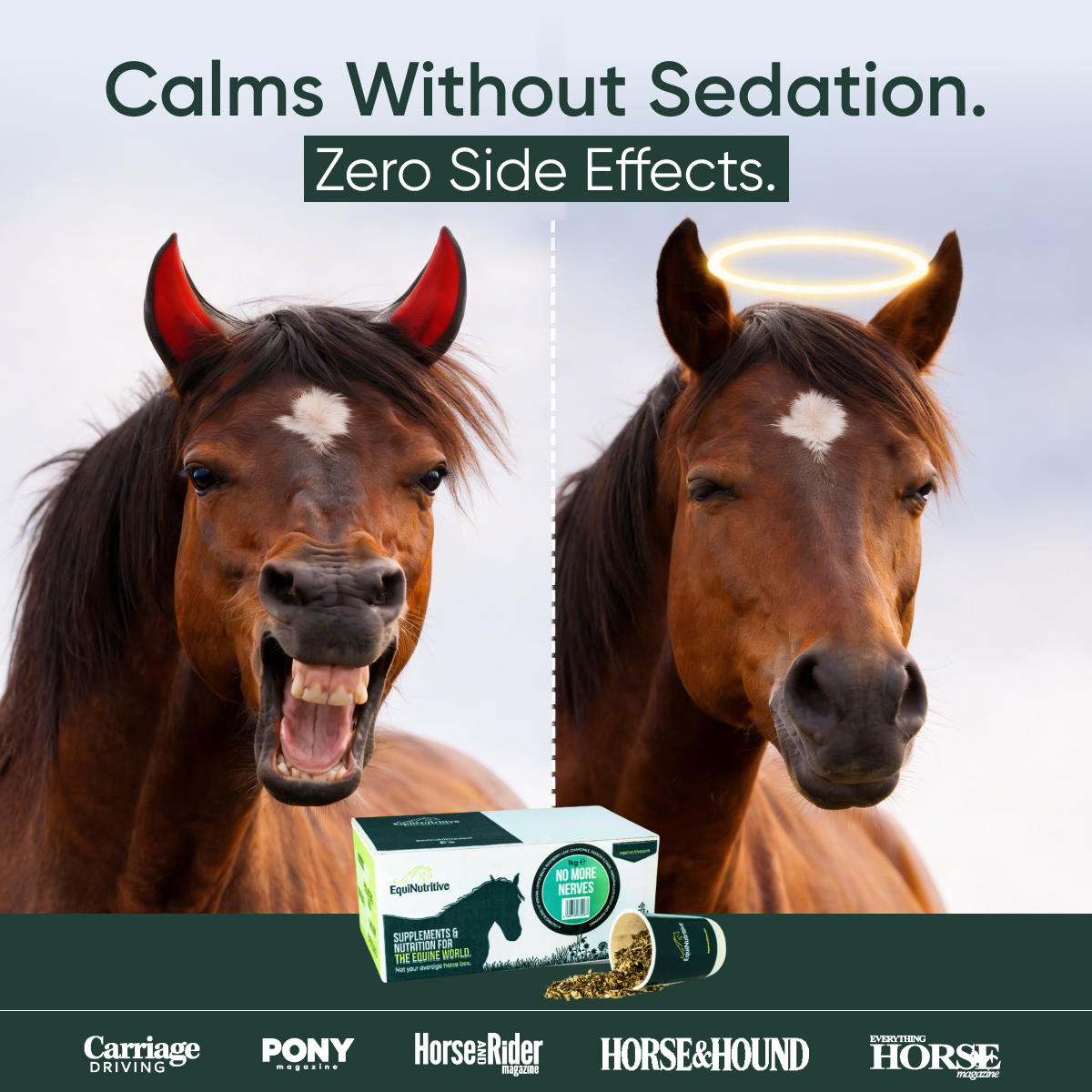 EquiNutritive Facebook ad